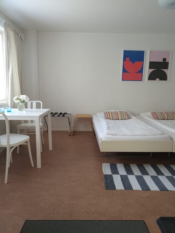 Downtown accommodation for 3 - 4 persons. Private kitchenette