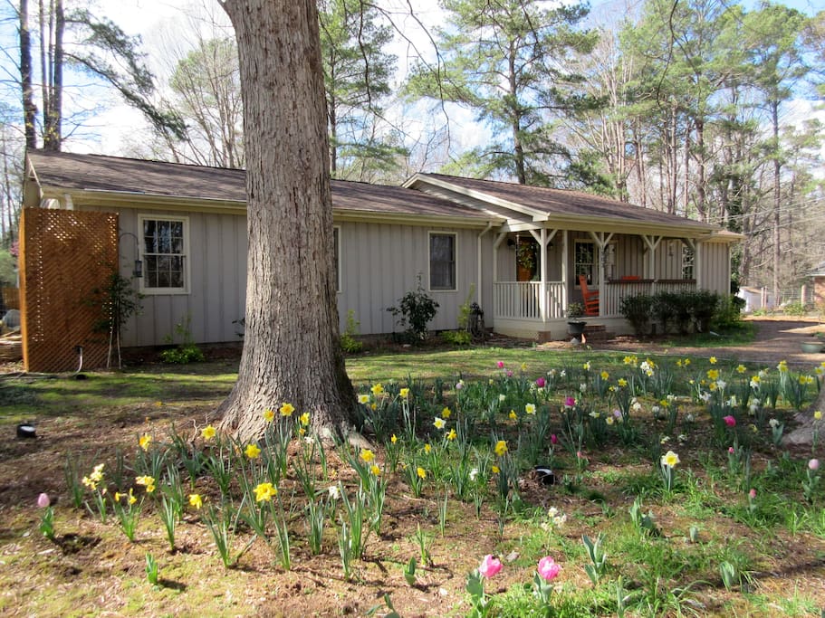 Right now we have tulips and daffodils! Something is blooming year-round.