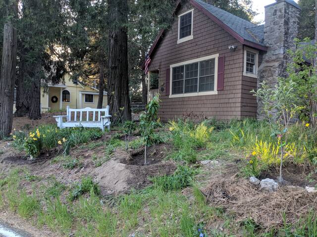 Camp Hurly - Huge Guestroom in vintage 1920 Cabin