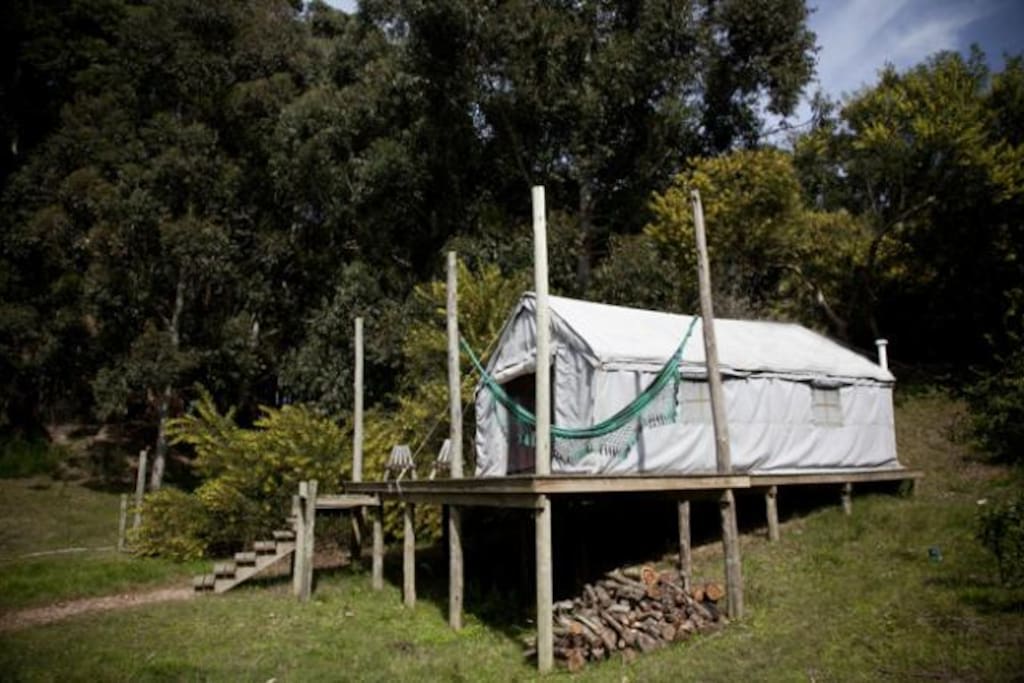 Tienda de Campaña/Tent