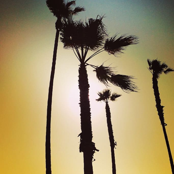 Fotografija – Venice on the Beach Hotel