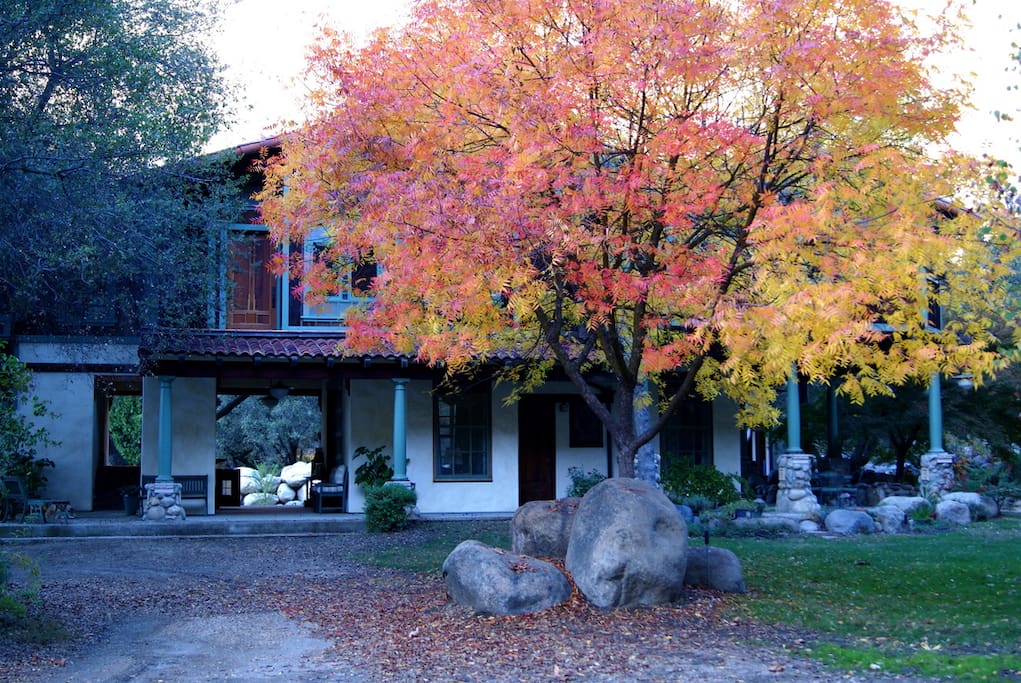 Stunning Fall.