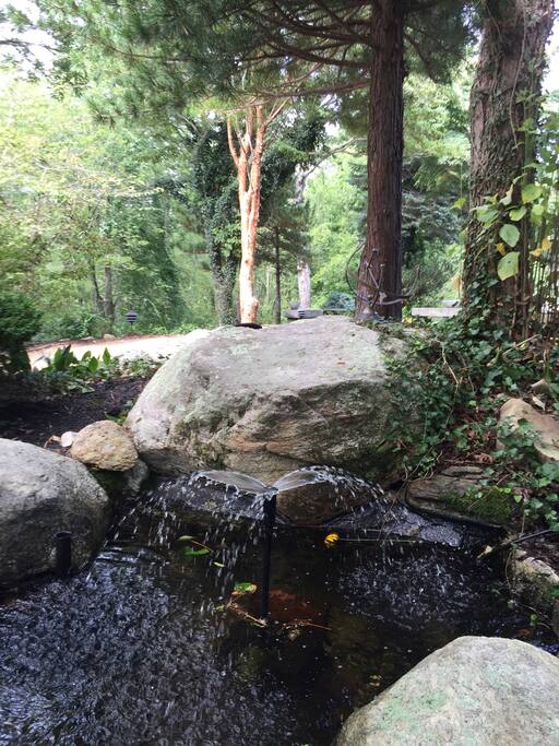 Water feature at front of house