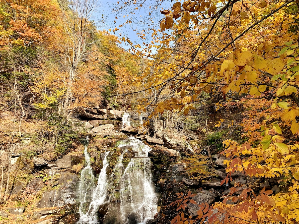 A serene waterfall cascades over rocky terrain, surrounded by vibrant autumn foliage in shades of yellow and orange. The clear water glistens in the sunlight as it flows, creating a peaceful natural setting that highlights the beauty of the Catskills.