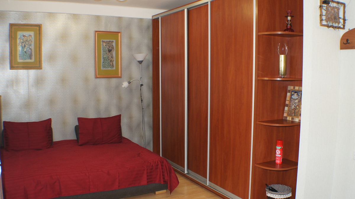 A compact room is furnished with a spacious bed covered in a rich red blanket. A tall wardrobe with sliding doors occupies one wall, while a corner bookshelf displays decorative items. Two framed artworks are displayed above the bed, enhancing the room's ambiance.