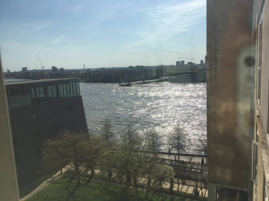 Dining View