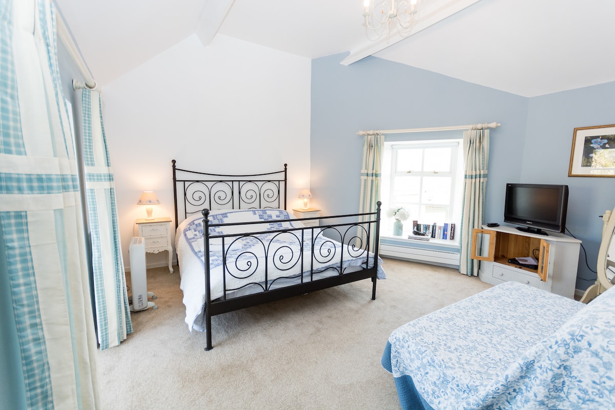 A spacious bedroom features a wrought-iron bed with a white and blue quilt. Natural light enters through a large window with light curtains. A small TV is positioned on a wooden unit, and two bedside lamps provide gentle illumination.