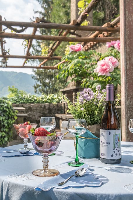 aperitivo in the garden