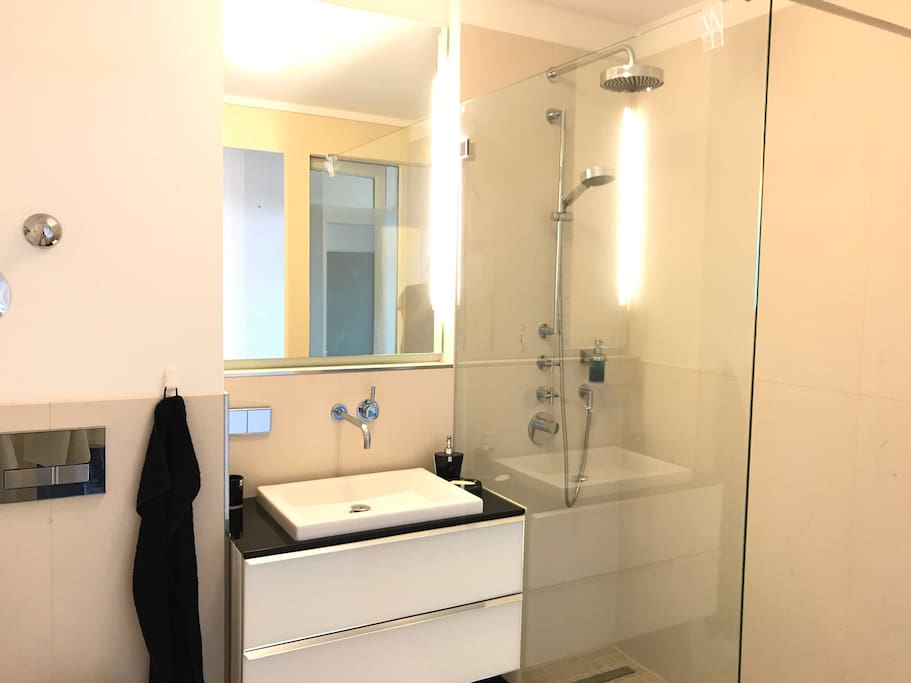 Bathroom is brand new. Large Rain Shower