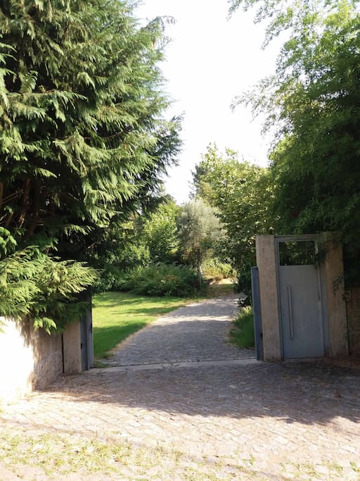 Entrada // Privacidade