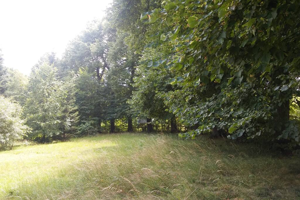 Blisko lip wiecej info na fb Mniszków 17