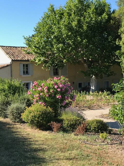 Un jardin fleuri devant le mas