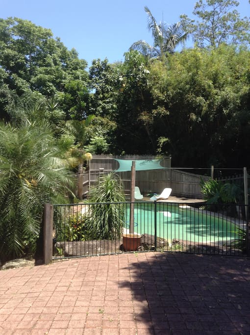 Perfect spot for Mullum in the summer heat.