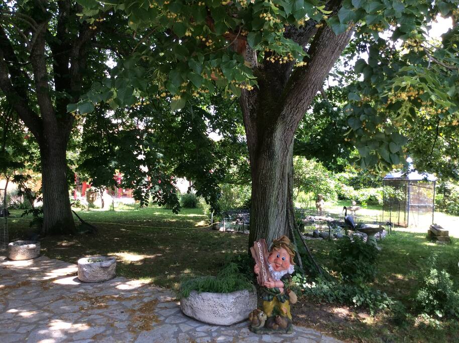jardin