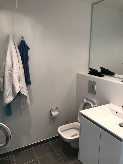 Toilet basement