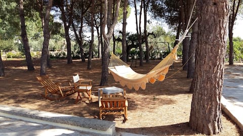 Villa Assunta