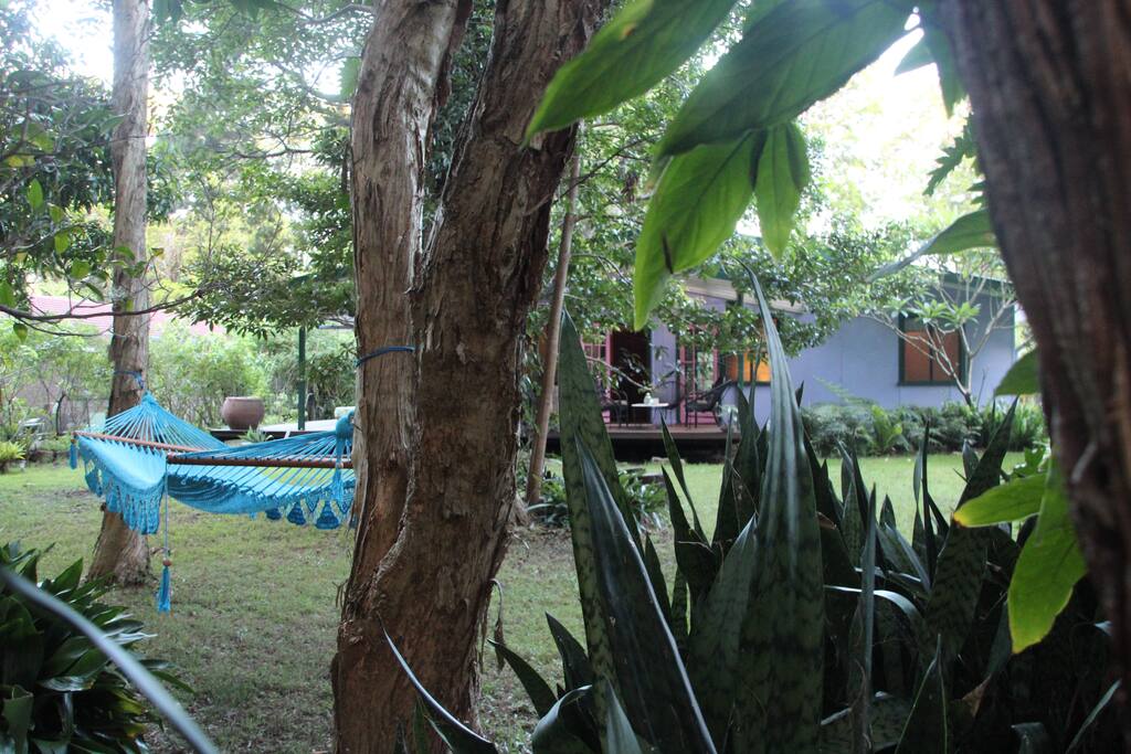 Relax in our tropical oasis, this hammock has your name on it!