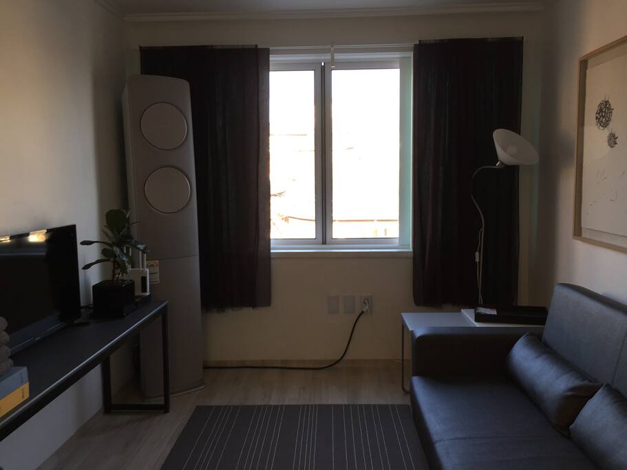 Living room with sofa bed