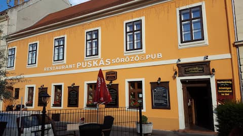 Civic apartment in the heart of downtown