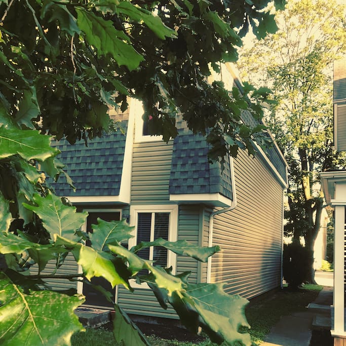 Summer day afternoon from the outside.