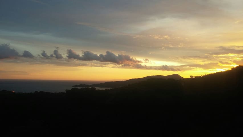 Among olive trees with Portofino view