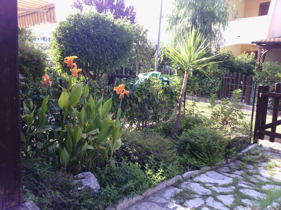 Giardino