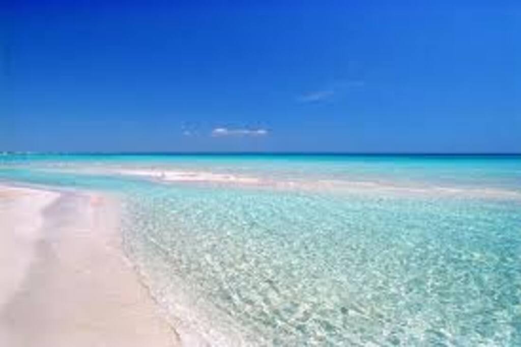 Rent A Car Porto Cesareo Rent A Car Porto Cesareo
