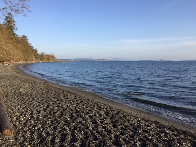 A serene beach scene is depicted, featuring a gentle curve of the shoreline lined with pebbles and driftwood. Calm waters extend to the horizon under a clear blue sky, creating an inviting atmosphere for relaxation and nature appreciation.