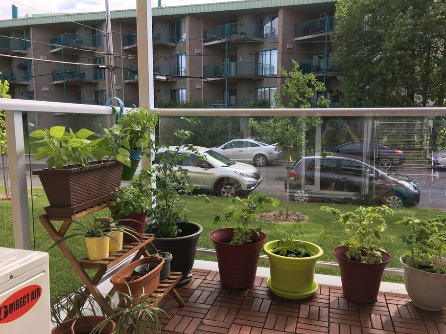 Mini jardin!