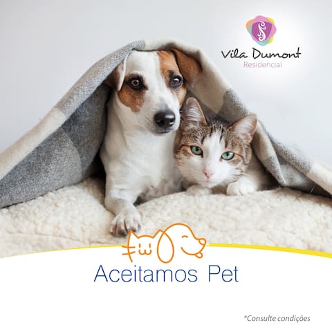 Vila Dumont managed Airbnb listing 1