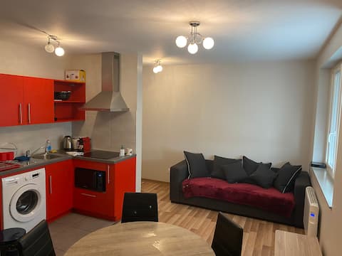 apartment downtown Annemasse N*002