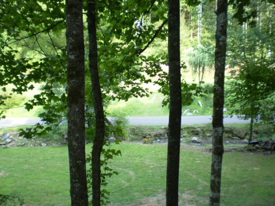 View from cabin