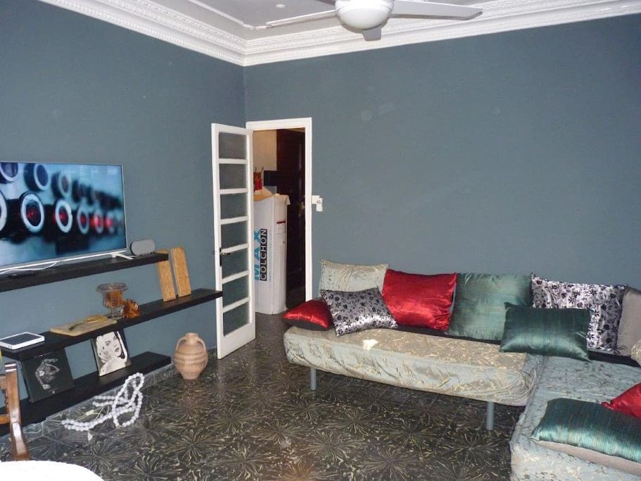The big living room with authentic old ceiling and lots of light AND you have acces to Netflix