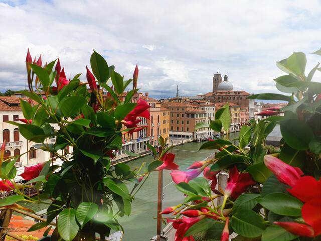 LHost in Venice – The Big Dream gallery image 4