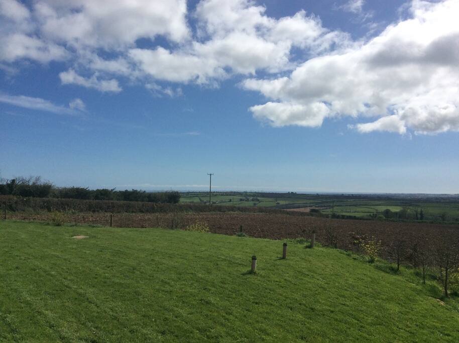 View of the back garden