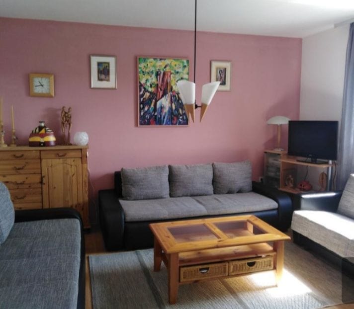 A living room area features a mix of seating options, including a spacious gray couch and a light armchair. A wooden coffee table with a glass top stands in the center. Colorful artwork adorns the pink wall, complemented by a wooden cabinet and a modest television.