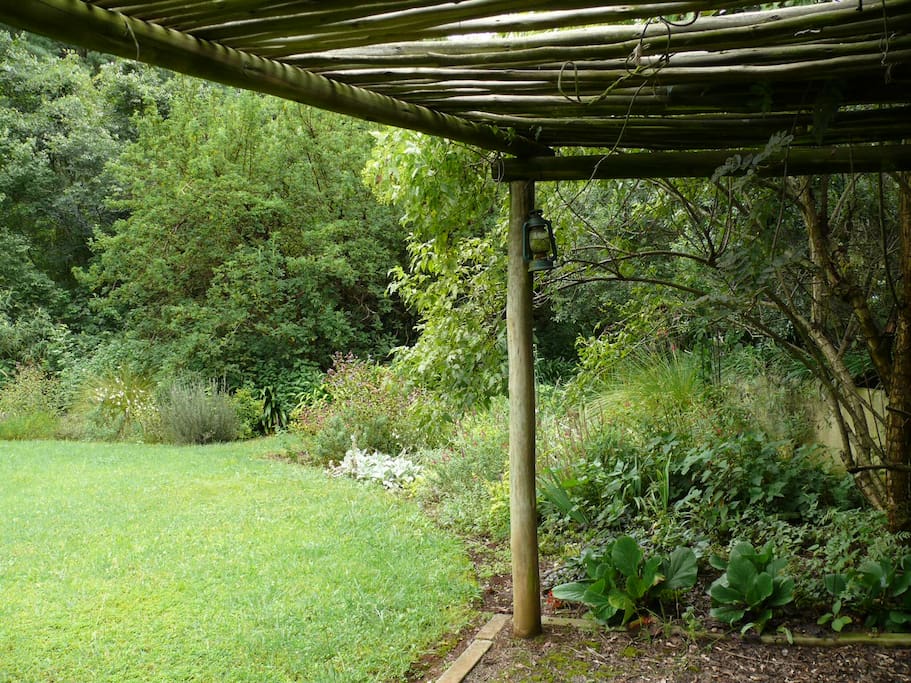 Pergola in the garden