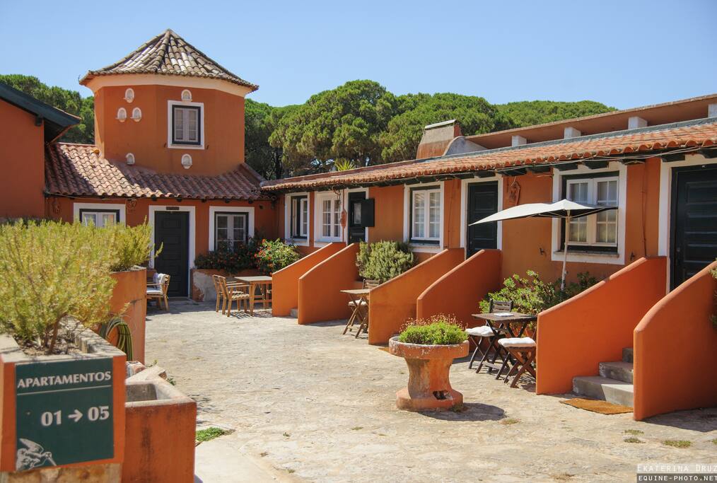Outside View