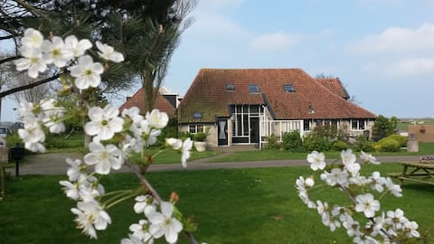 Ameland Woonboerderij "Het Loo" in Ballum
