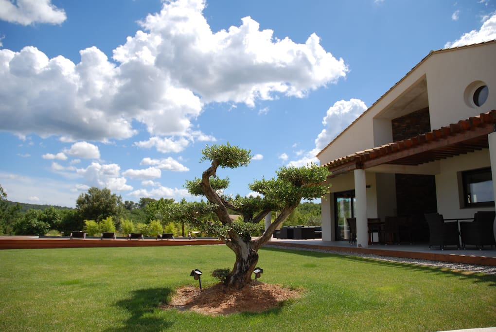 Villa Otilia Côté Jardin