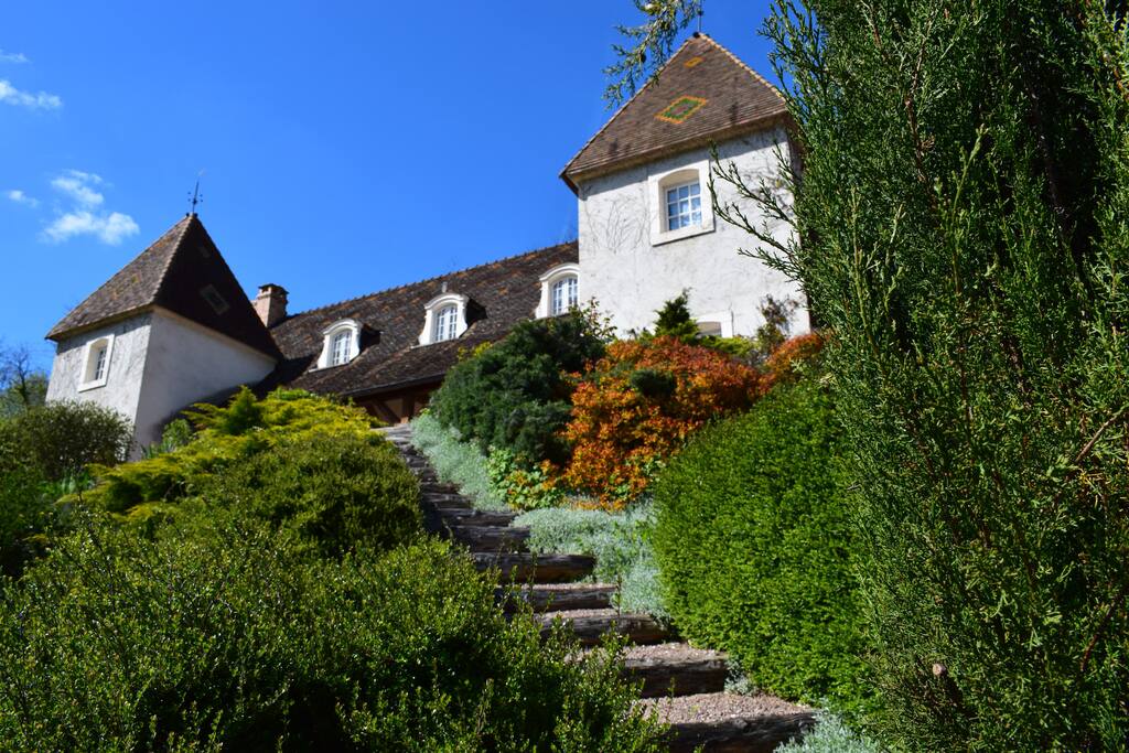 View from garden