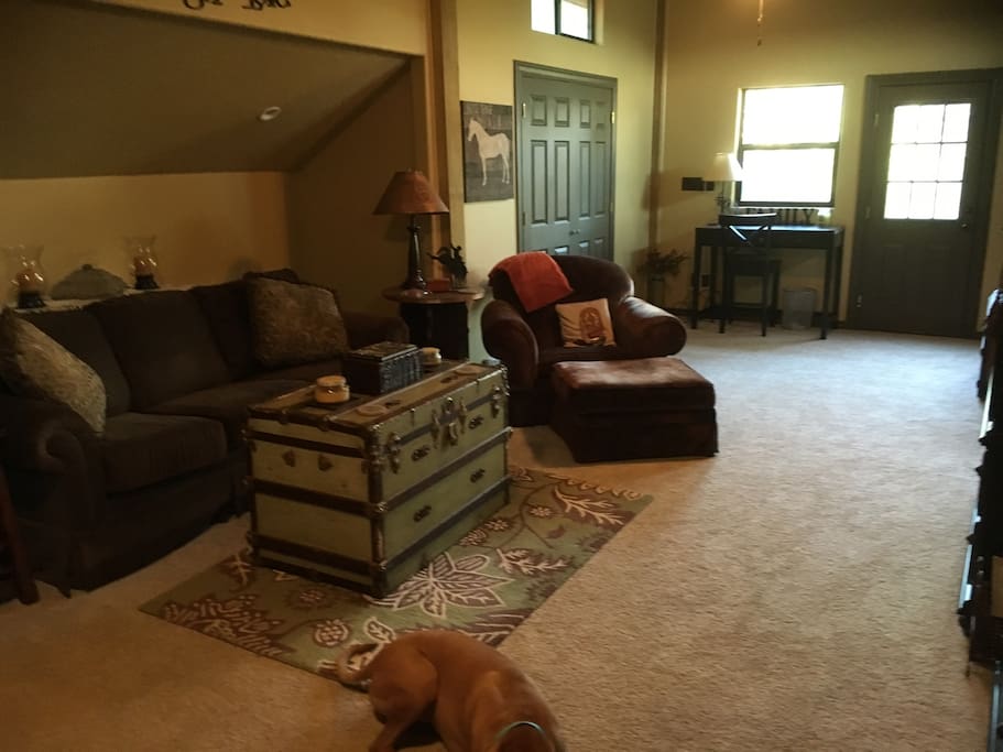 Comfy furniture. That's a sleeper sofa...a good one. The puppy dog is not included but yours is welcome!