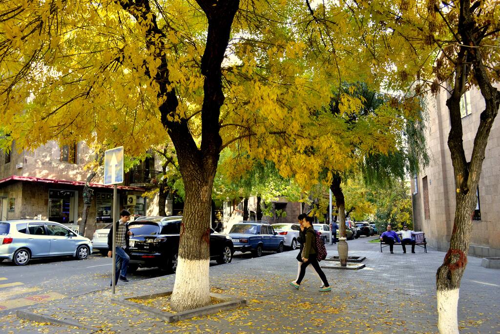 Street