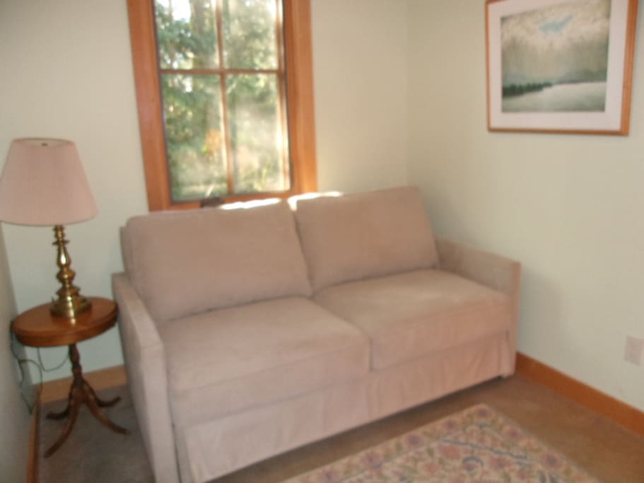 Bedroom with a comfortable foldout couch