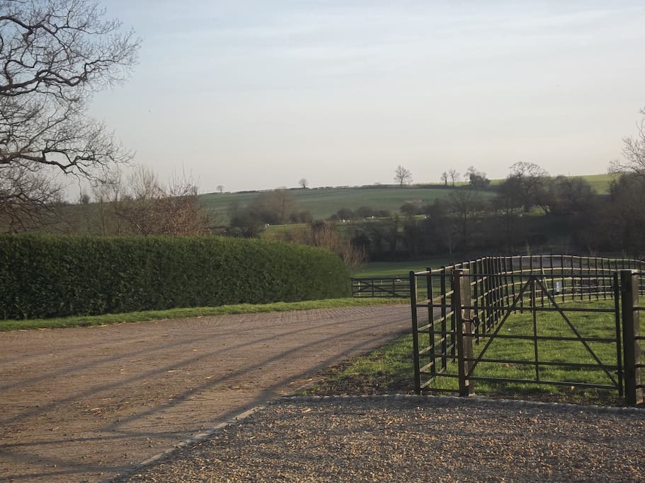 One of the views from the farm! This is the view from your door.
