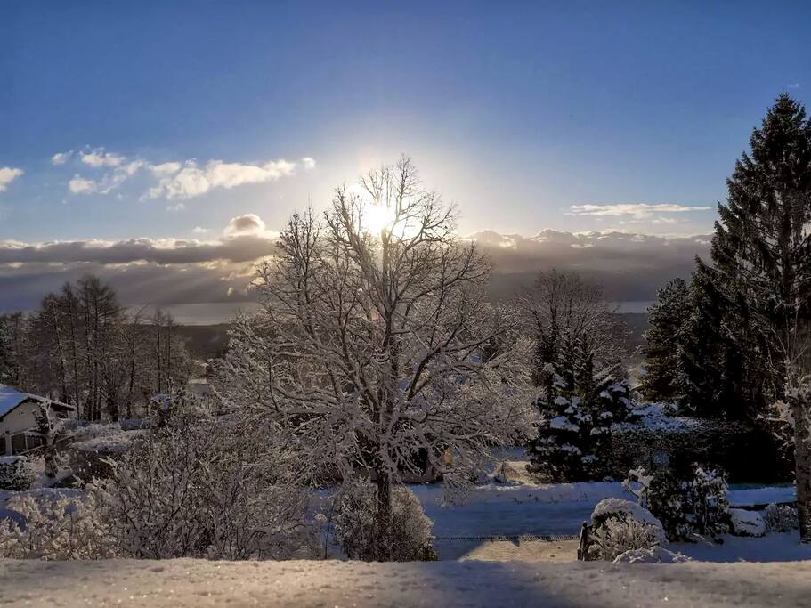 View during Winter