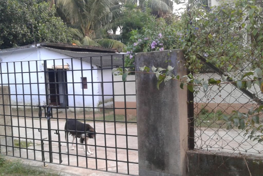 The front gate and the caretaker's house