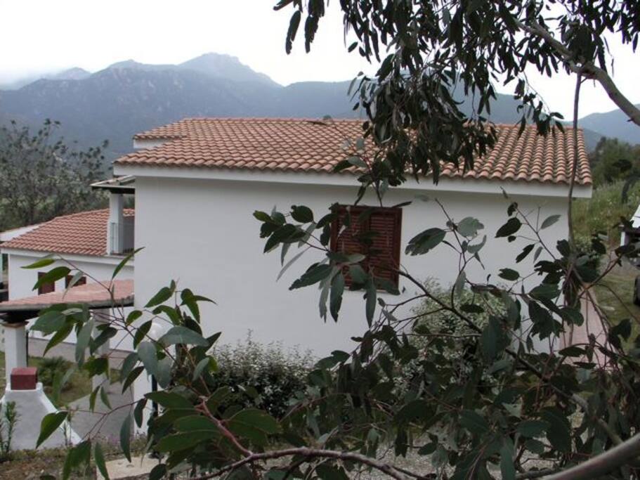 vista montagna