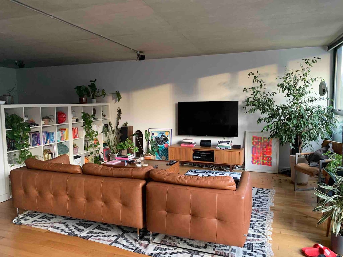 A spacious living room is arranged with a large brown leather sofa facing a mounted television. A rack with books and decorative items sits against the wall, surrounded by various indoor plants. Natural light filters in from large windows, creating a bright atmosphere.
