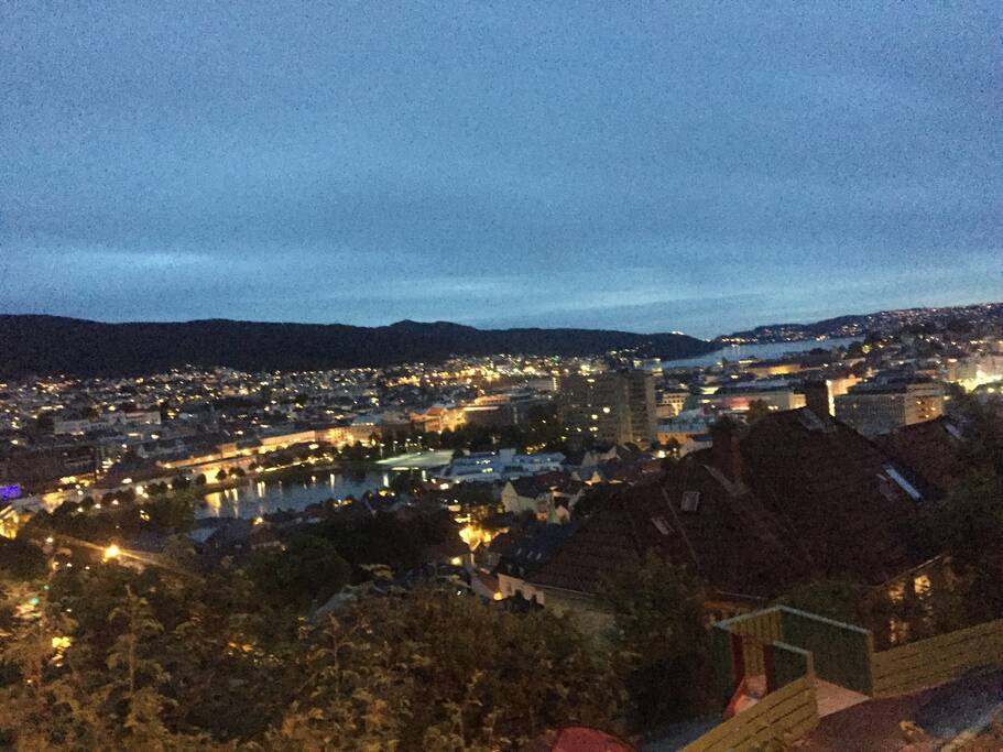 Stay in Bergen with a breathtaking view from the garden/outdoor area as well as from the living room window